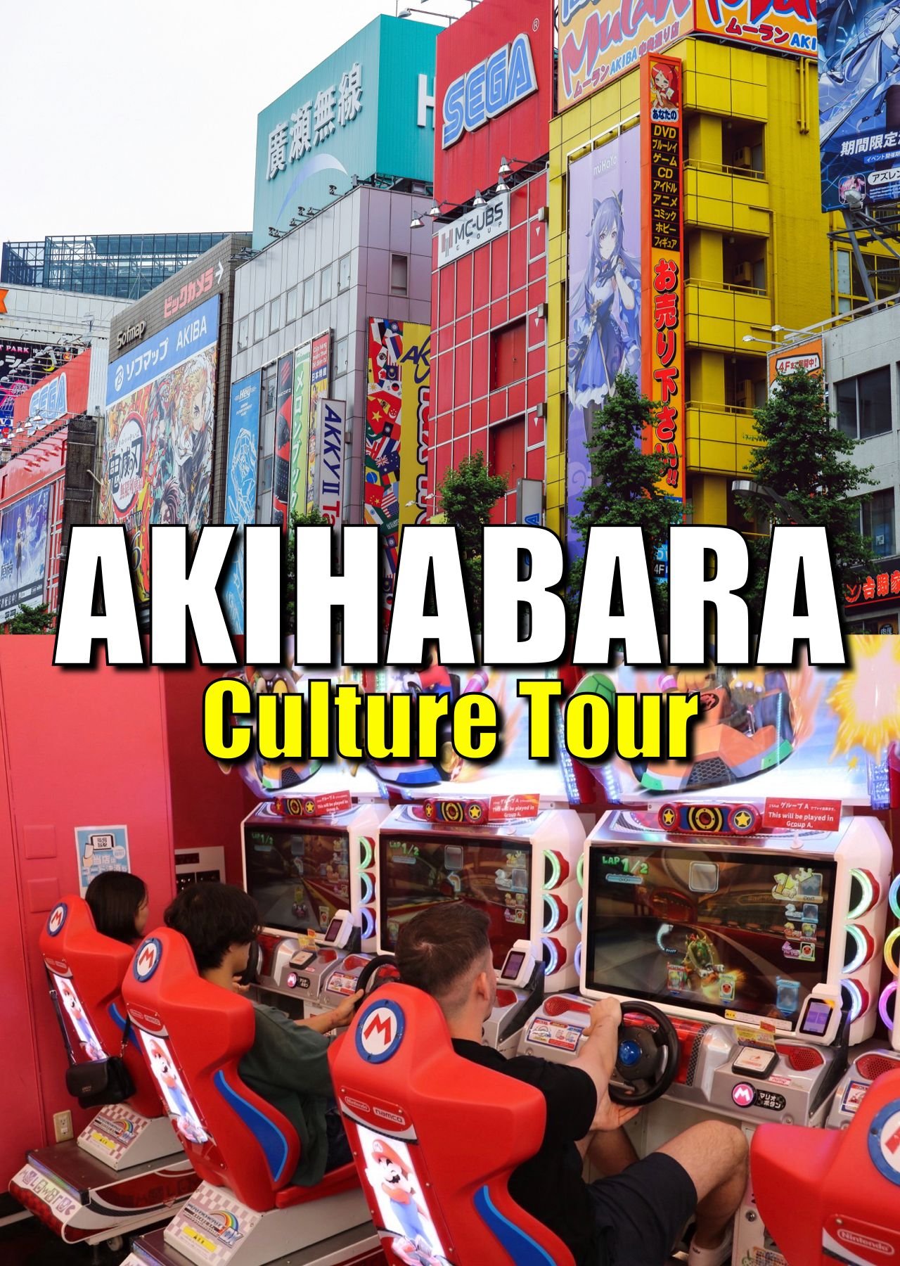 Akihabara Game Culture Tour with Guide