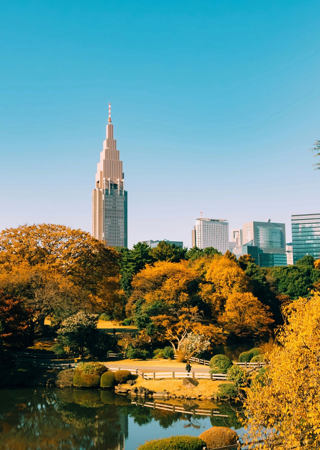 Tokyo: Shinjuku Gyoen Autumn Leaves Stroll (Entry Included)